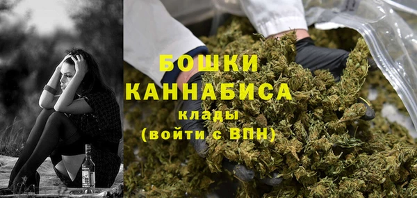 трава Арсеньев