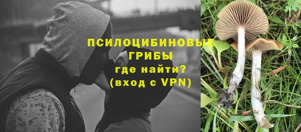 гидропоника Аркадак