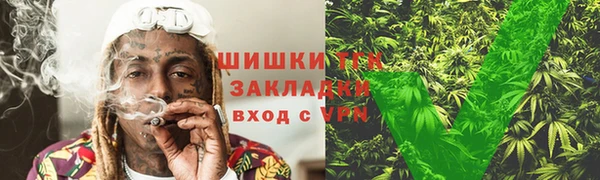 дмт Россошь